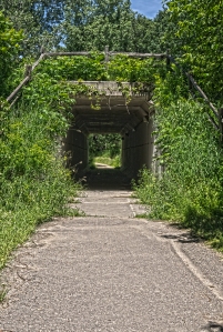 Trail Tunnel